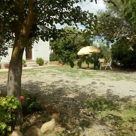 Loc.medau Mannu *