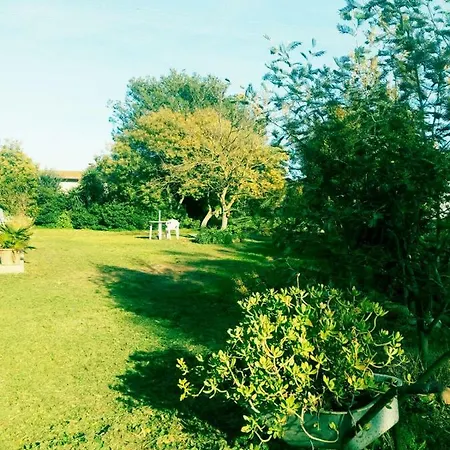 Loc.medau Mannu *